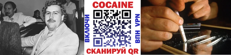 Купить закладки  Нерюнгри  Cocaine Fish Scale 