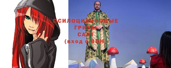 дживик Богородицк