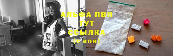 эйфоретик Бородино