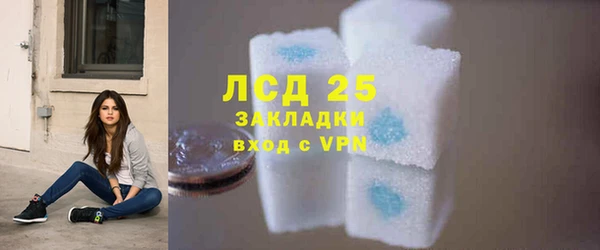 spice Богданович
