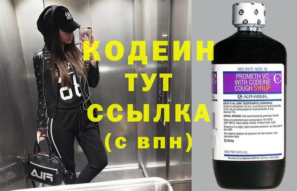 spice Богданович