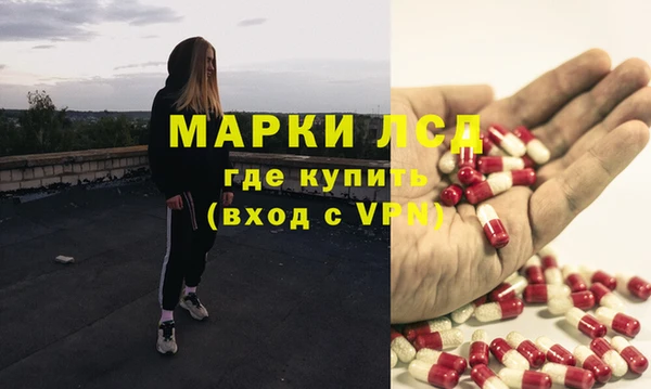 эйфоретик Бородино